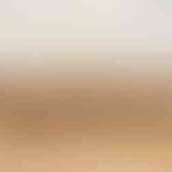 Great Migration Serengeti safari from Zanzibar with wildebeest herd crossing and wildlife tracking T