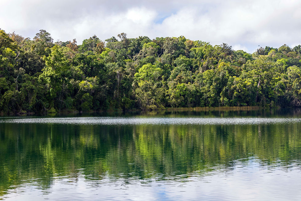 Image by David Clode