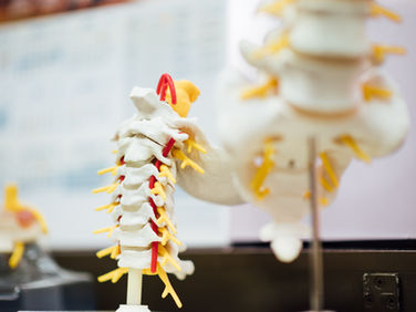 Back Pain Prevention