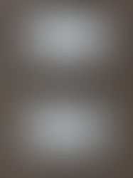 Sign that say Yes or No