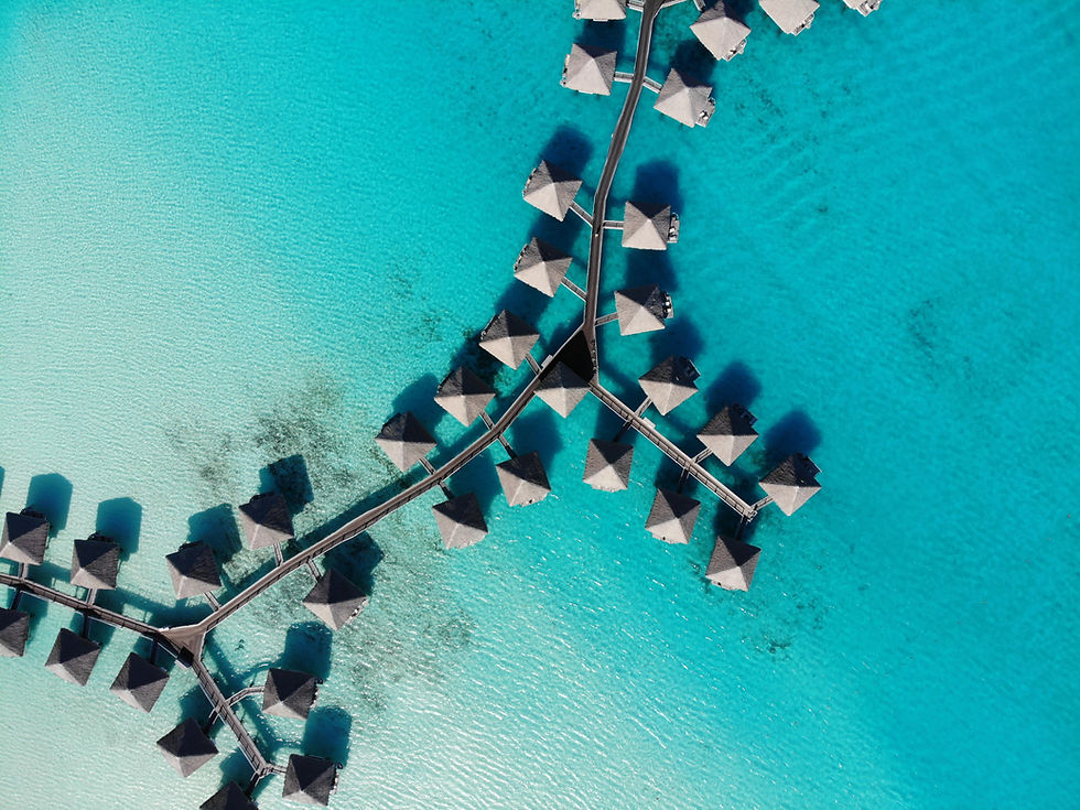 Image by Thomas Stadler
