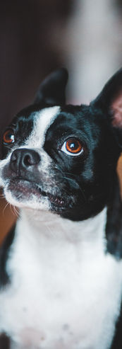 Image by Erik Mclean