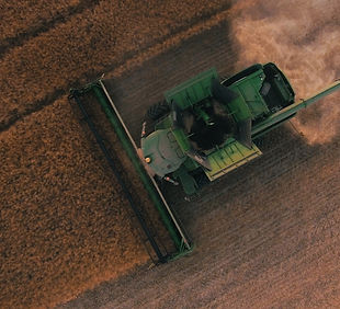 Image by Tomas Hertogh