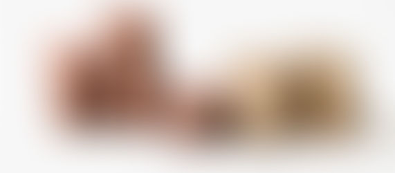 Diepenbeek maakt plannen voor de toekomst bekend