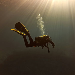 Image by Leo Talabardon