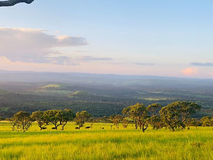 country