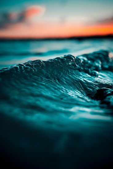 Image by Alex Perez