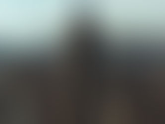 VIP NYC Transfers - Executive VIP Transfers From Private Airports Into NYC