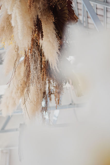 Image by alexandra lammerink