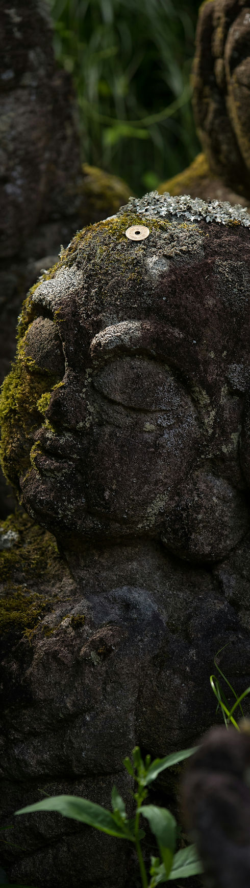 Image by Mario Häfliger
