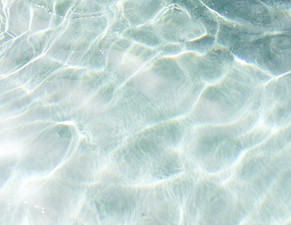 Image by Marissa Rodriguez