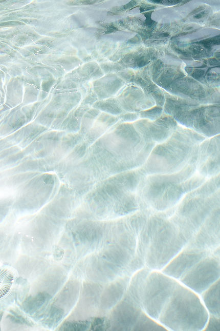 Image by Marissa Rodriguez