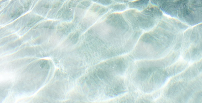 Image by Marissa Rodriguez