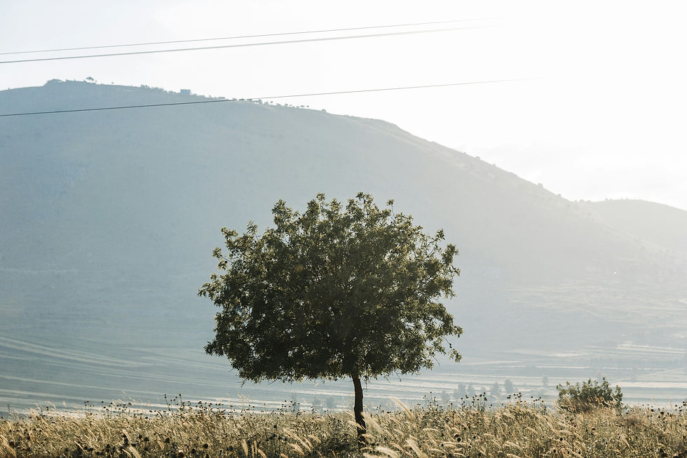 Bild von Stanislav Vdovin