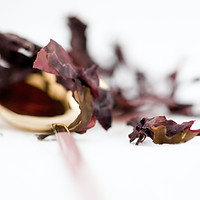 Image by Bakd&Raw by Karolin Baitinger
