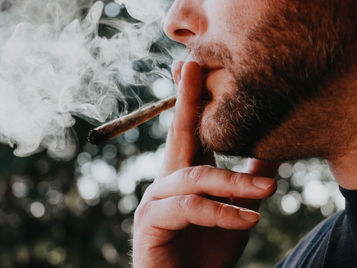 Cannabislegalisierung in Deutschland: Chancen und Herausforderungen für den Cannabisverein Recklinghausen