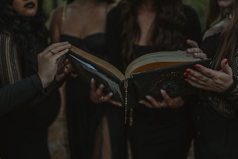 Image by Sierra Koder