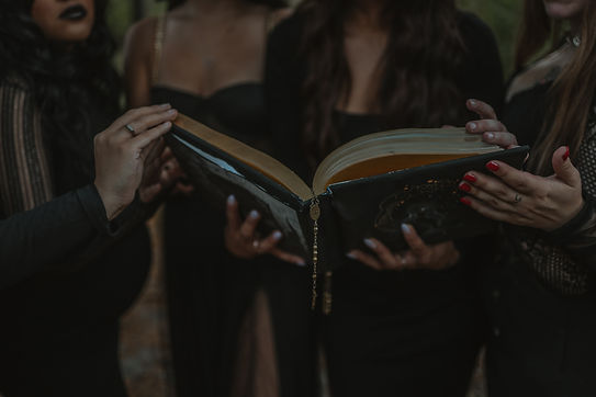Image by Sierra Koder
