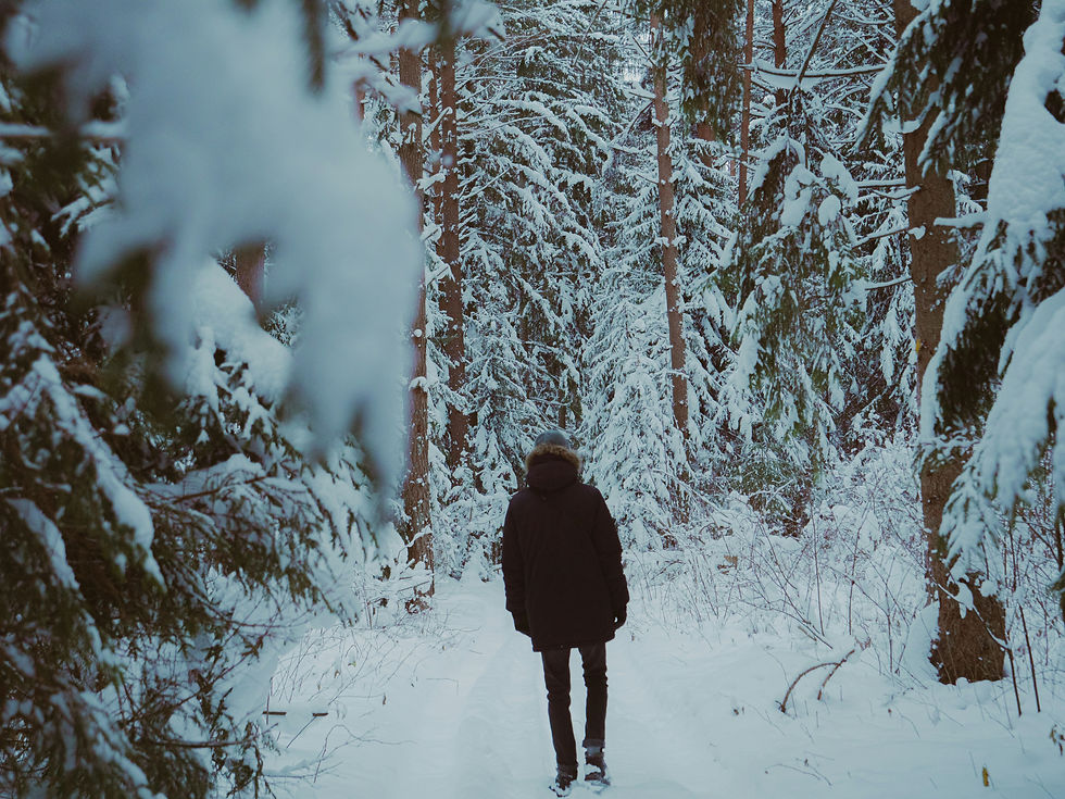 A person standing in a white snowy forest surrounded by trees and nature