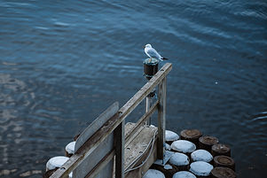 Image by Nicholas Bartos