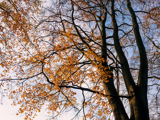 Autumn Equinox