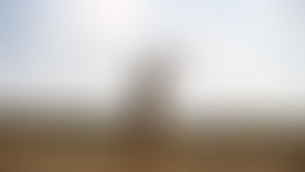 Planning for Firearms Ownership: How Gun Trusts Fit into Your Estate Plan