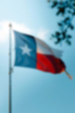 (belated) Texas Independence Day Celebration