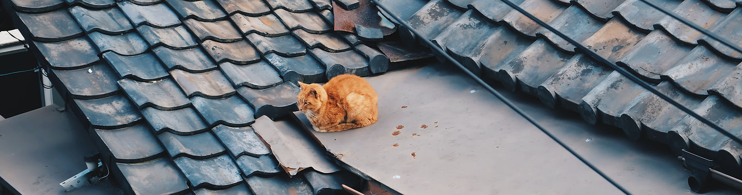 Image by note thanun