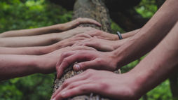 Hands of diverse people touching a tree trunk in a forest, symbolizing unity, connection with nature, and building resilience. Green leafy background.