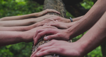 Handen naast elkaar op een boomstam bij een mindfulness workshop voor teams