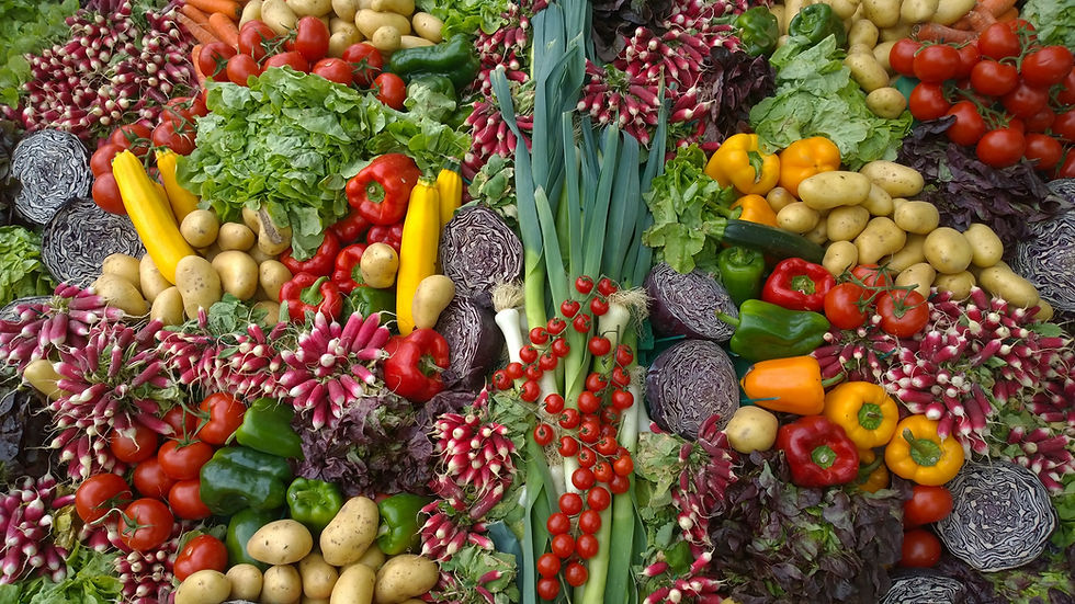 Arranged Food and Objects