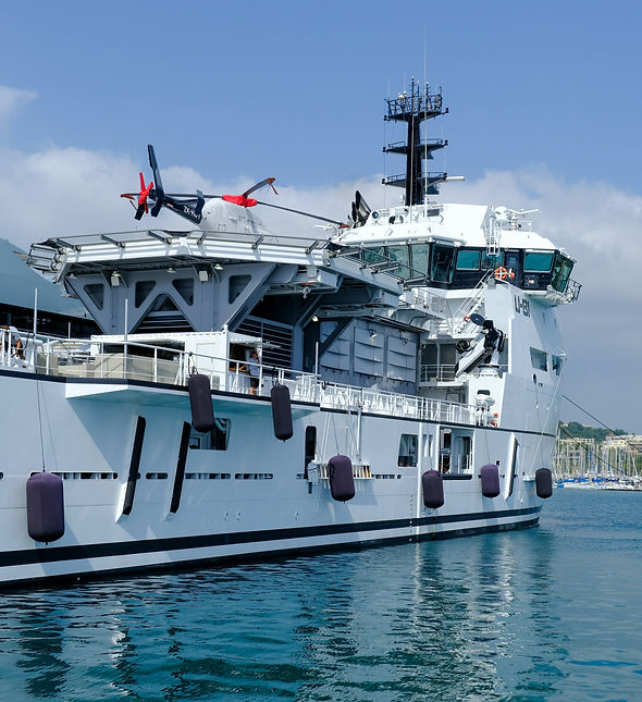 Image by Lidija Jakovljevic