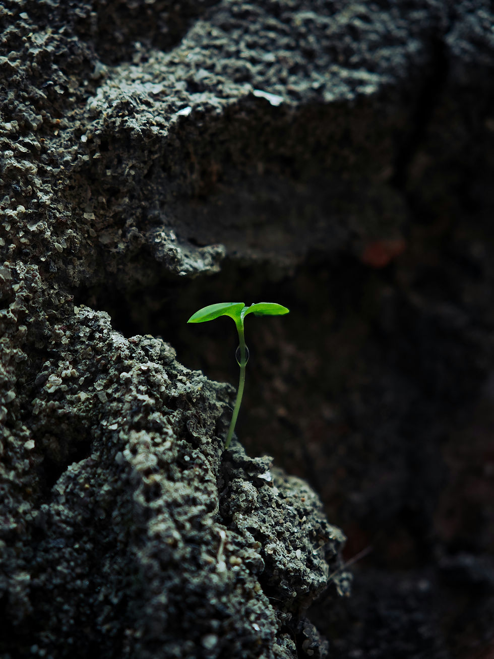 Ponderful Moments Our Start In Life Blog Image