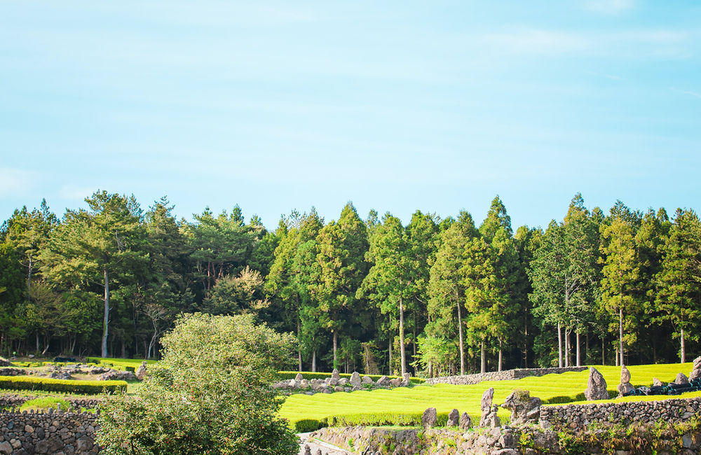 South Korea Lifestyle by JUNGIL PARK