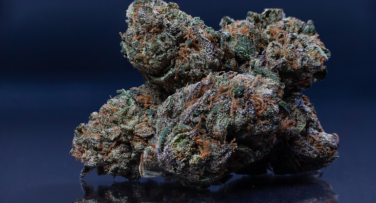A rich display of piled premium cannabis buds, underscoring the abundance and quality of select products accessible to buyers via Nexxions in the cannabis marketplace.