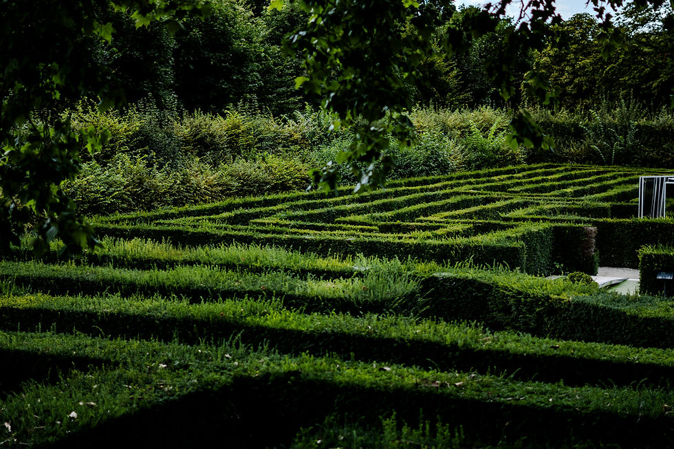 The English Maze