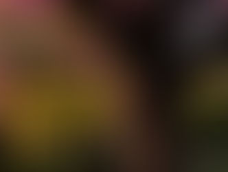 Latinx Best Seller List – April 2023