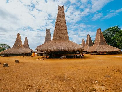 This seven-day journey explores Sumba, a less-visited Indonesian island known for its traditional villages, rolling savannas, white-sand beaches and turquoise lagoons. Travelling from Tambolaka in the west to Waingapu in the east, the itinerary combines cultural encounters, short walks, swimming and time to relax along the coast.
The trip begins with a visit to Sumba Cultural House, followed by Ratenggaro, a traditional village distinguished by its tall, thatched-roof houses. At Waikuri Lagoon, there is time to swim in clear turquoise water. Further inland, short treks lead through rice fields and past natural springs, while a visit to Karaja Sumba introduces the island’s traditional ikat weaving and a local initiative supporting women’s financial independence.
In Prai Ijing Village, local hosts share aspects of Sumbanese daily life through traditional games, dances and seasonal farming activities. The journey then crosses the open landscapes of Wairinding Hill, where wild sandalwood ponies and buffalo roam the savanna. In East Sumba, a short trek reaches Tanggedu Waterfall, with its sculpted rock formations and inviting pools, before time on the white sands of Purukambera Beach. The final full day offers a relaxed pace and a sunset visit to Walakiri Beach, known for its distinctive mangrove trees. With hotel stays throughout, this trip balances island exploration and cultural discovery with plenty of opportunities to unwind.