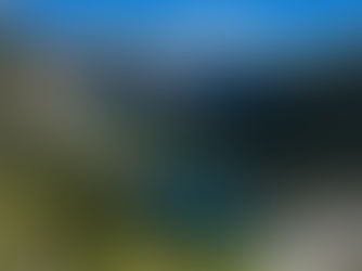 How to Serve Documents in North Carolina: A Step-by-Step Guide