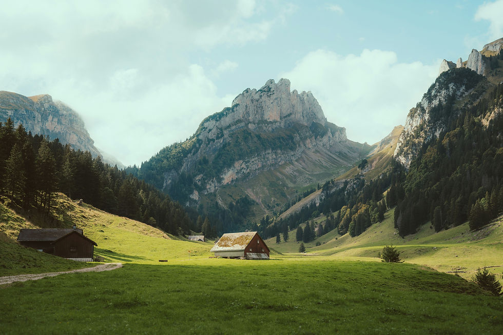 Image by Milosz Roman