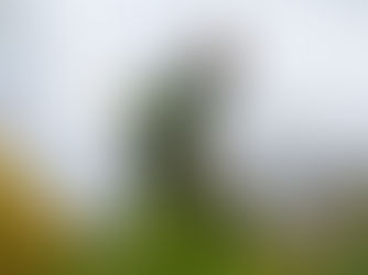 What Might Leave Stains on a Gardener’s Pants