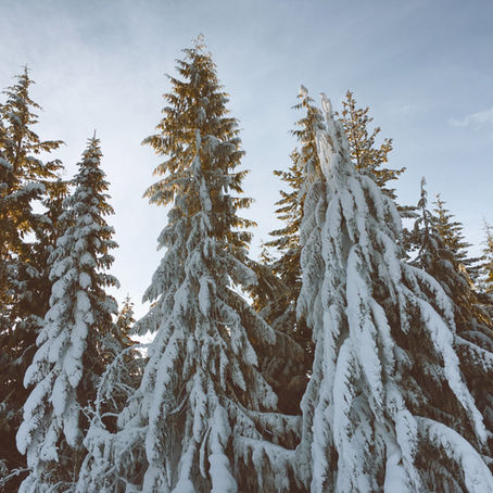 Top 10 Ski Resorts for This Winter