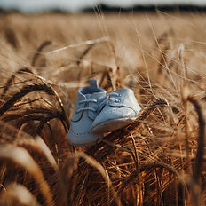 Maternity family photos
