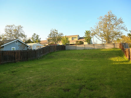 General Yard Clean-Ups  in Brisbane