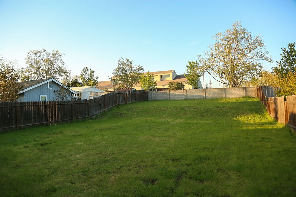 Backyard lawn with a fence and trees