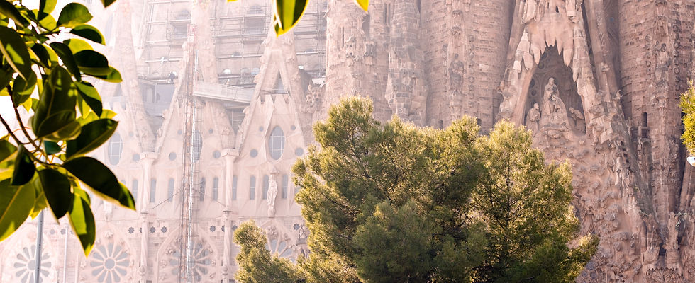 Image by alevision.co