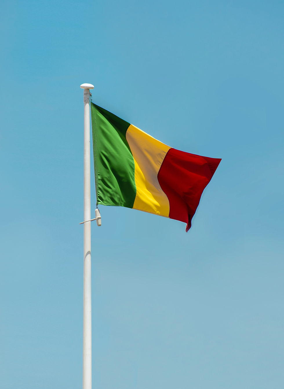 Mali offers over $3.5 million for information on attackers who killed several government officials
