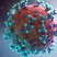 Image by Fusion Medical Animation