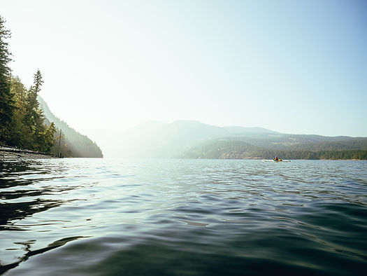 Image by Devon Hawkins