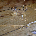 Image by Piotr Łaskawski